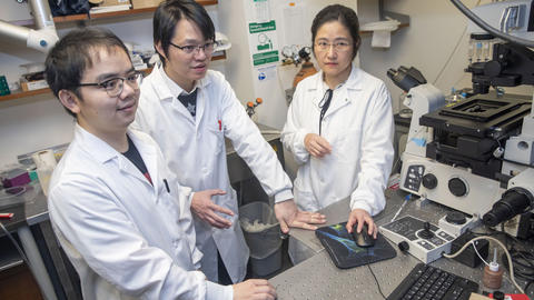 How does infection change social behavior?